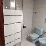 Rosa Guest house *