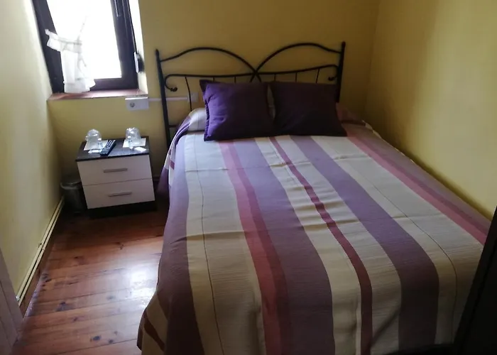 Rosa Cabezón de la Sal